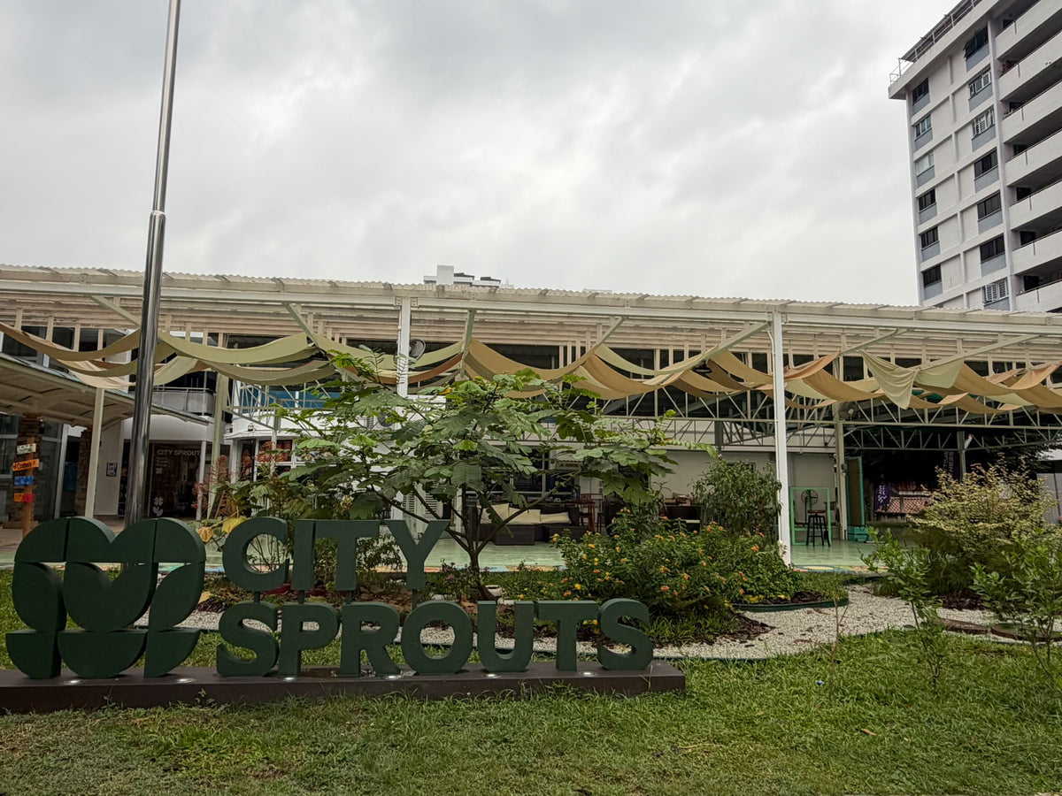 Weekend Venue Hire: Garden Canopy