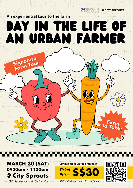 DAY IN THE LIFE OF AN URBAN FARMER
