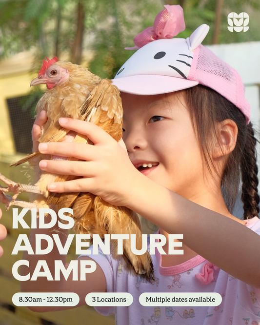 Kids Adventure Camp: June Holiday Edition!