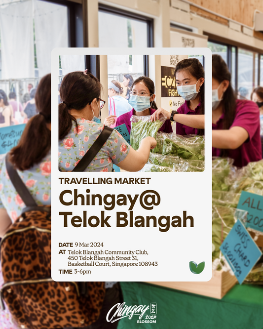 Travelling Market - Chingay@Telok Blangah