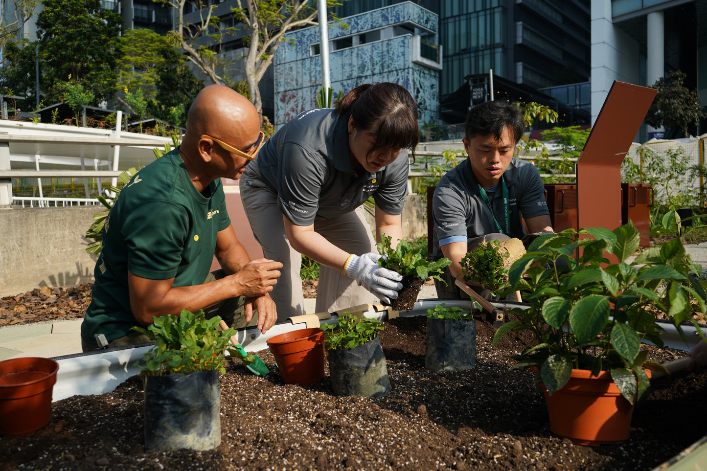 Fullerton Community Farm Tour @ Temasek Shophouse