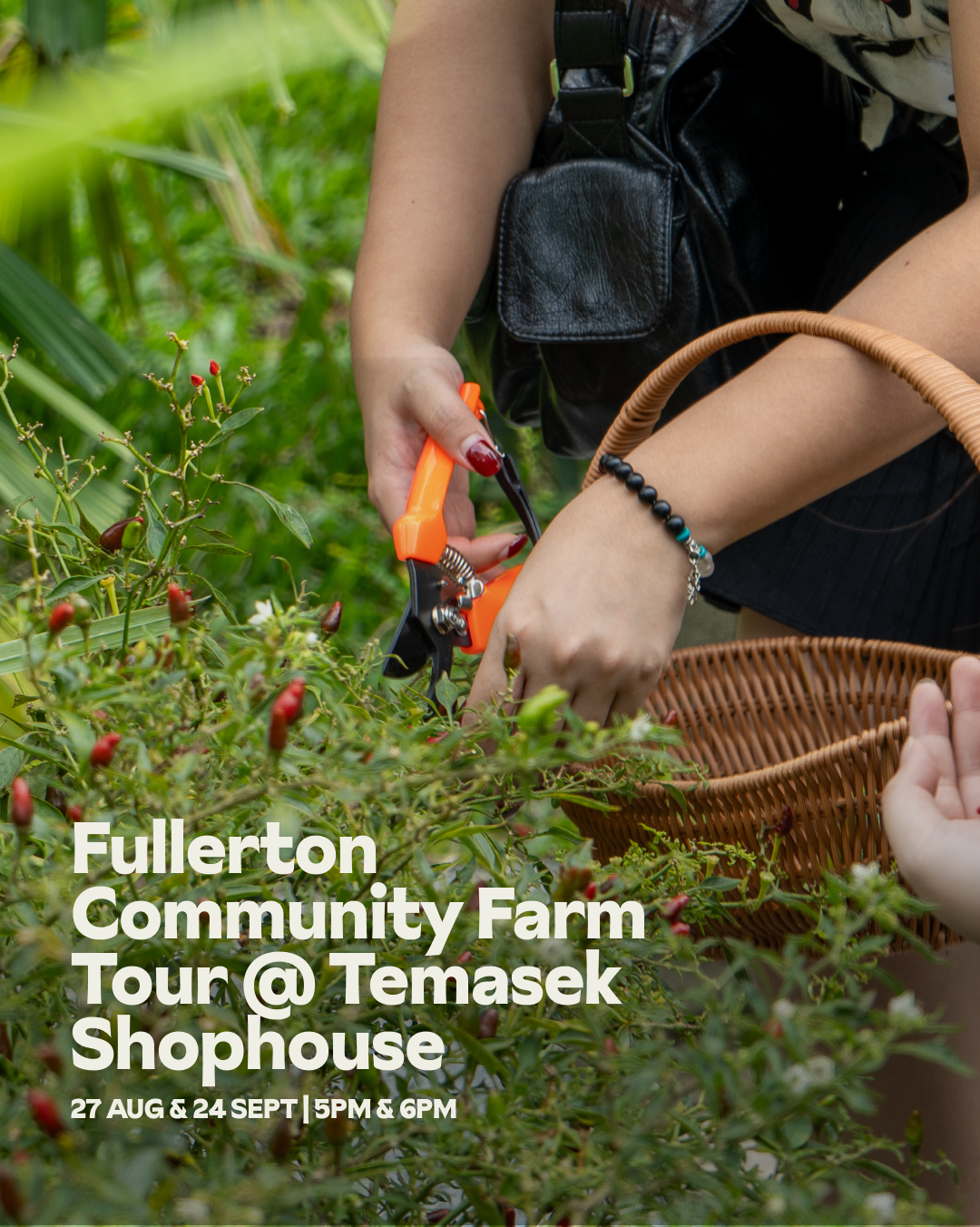 Public Community Farm Tour @ Temasek Shophouse