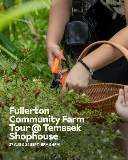 Public Community Farm Tour @ Temasek Shophouse