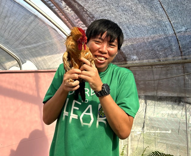 Employees working together during a City Sprouts corporate garden volunteering programme