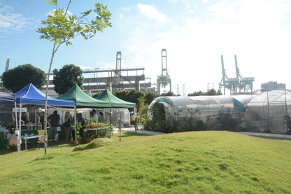 Weekday Venue Hire: Lawn Only