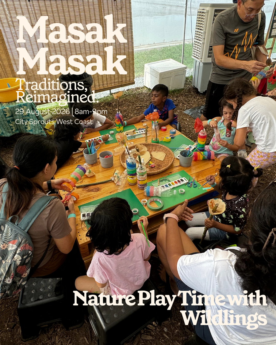 Nature Play Time with Wildlings