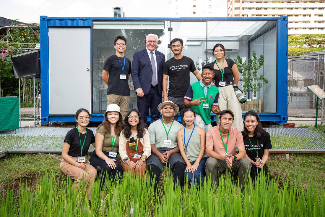 Current Job Openings citysprouts