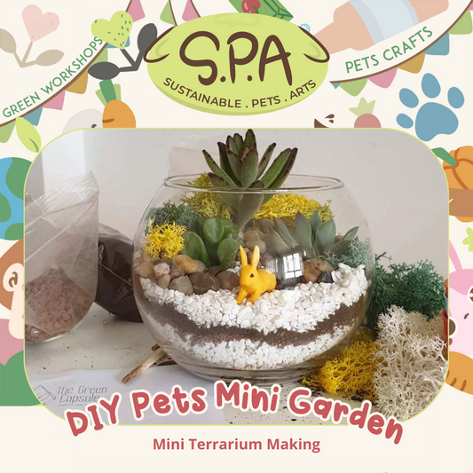 DIY Pets Mini Garden