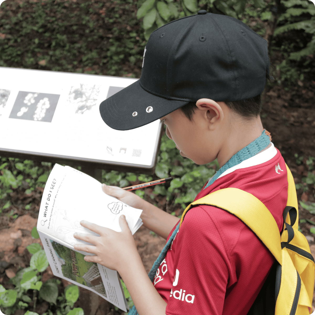 Student exploring biodiversity during a guided nature walk at Imbiah Trail in Sentosa