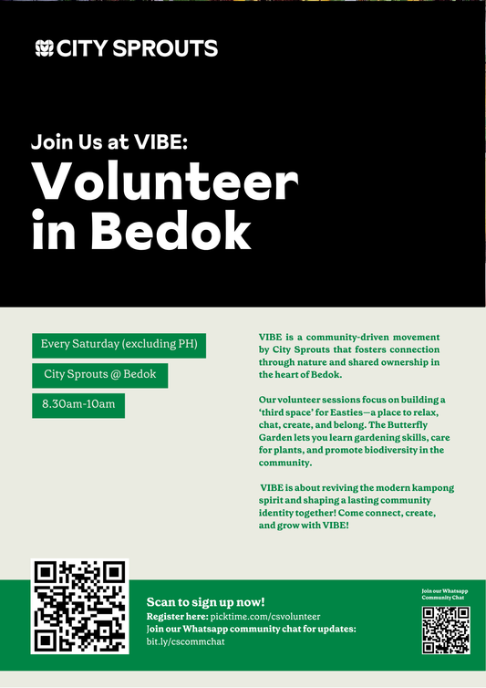 VIBE: Volunteering In BEdok