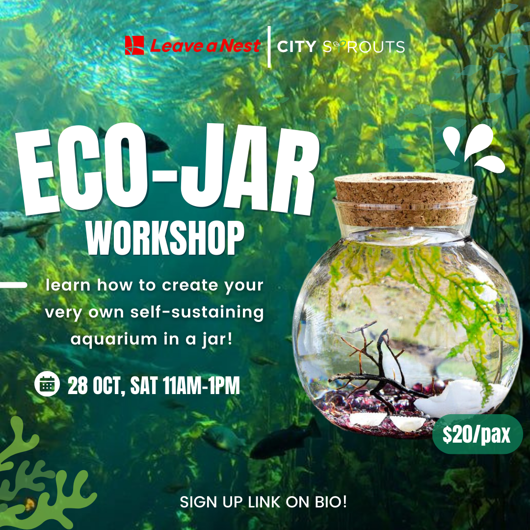 Eco-Jar Workshop!