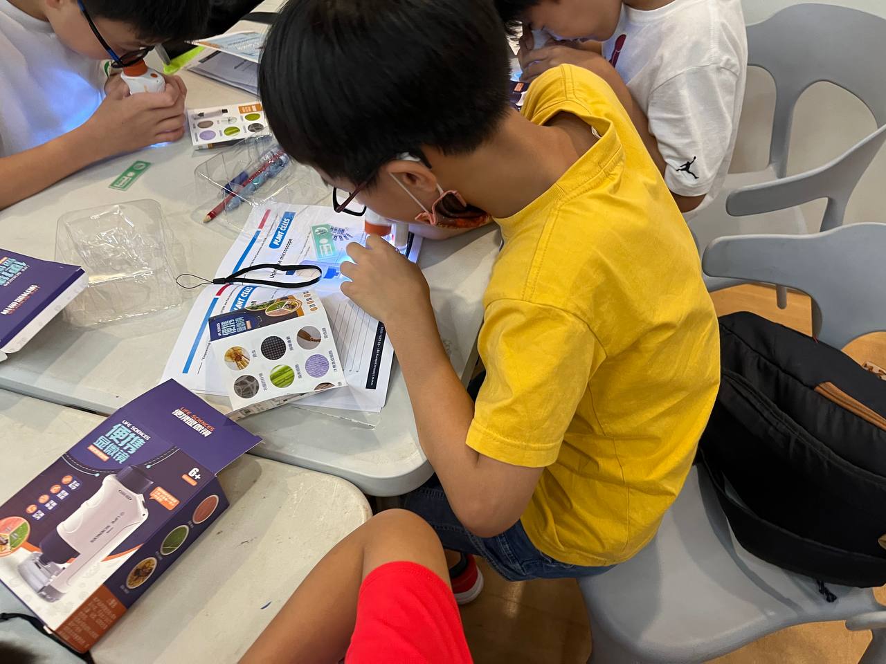 Stem and Sprout: 3-days Kids Camp