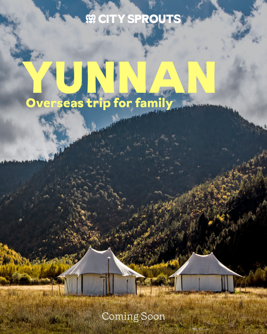Yunnan : Overseas trip for family