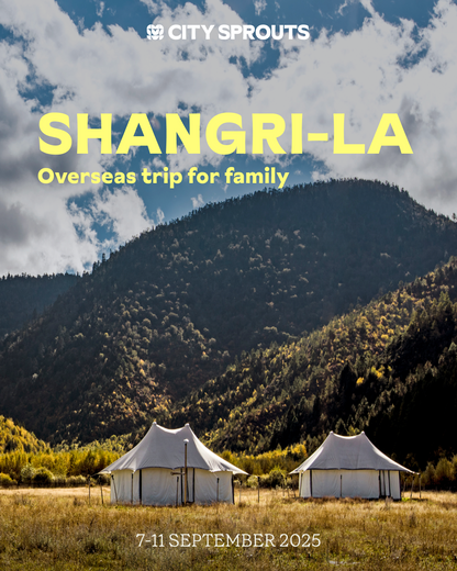 Shangri-la : Overseas trip for family