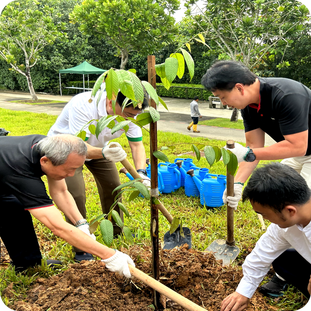 Employees taking part in a corporate gardening volunteering activity
