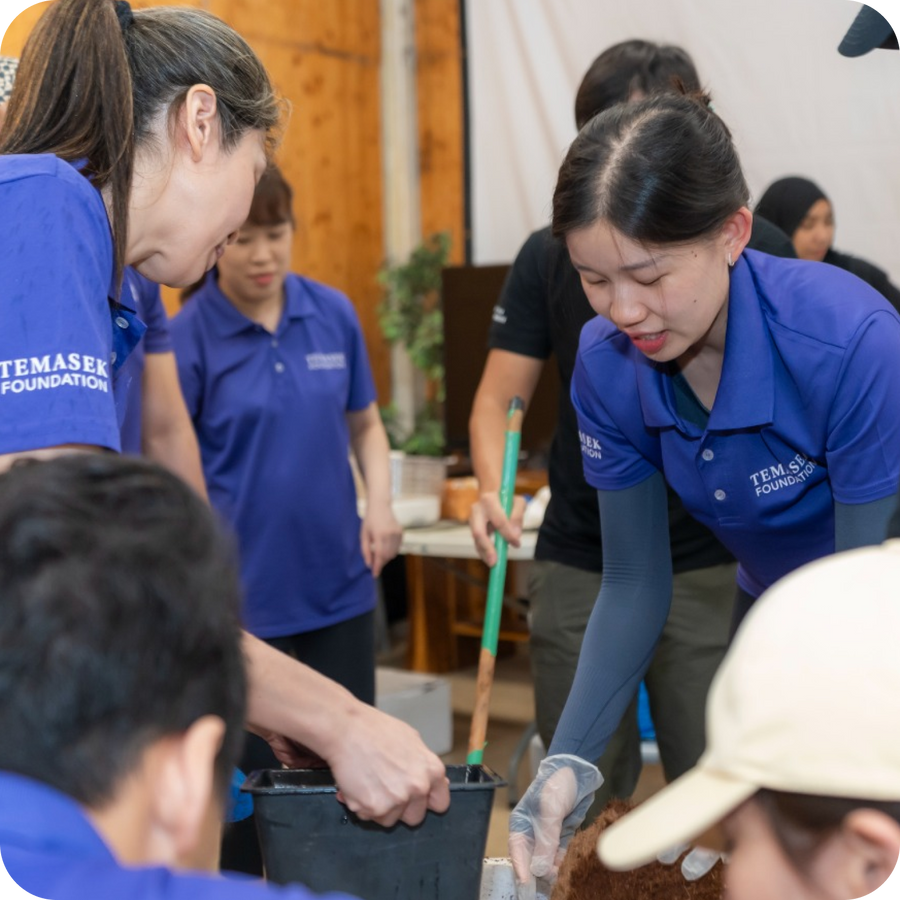 Corporate team participating in a sustainable gardening team bonding activity