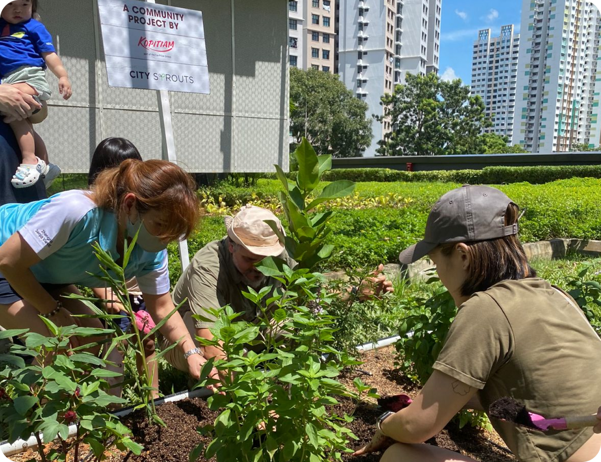 City Sprouts team building an educational garden for a school in Singapore