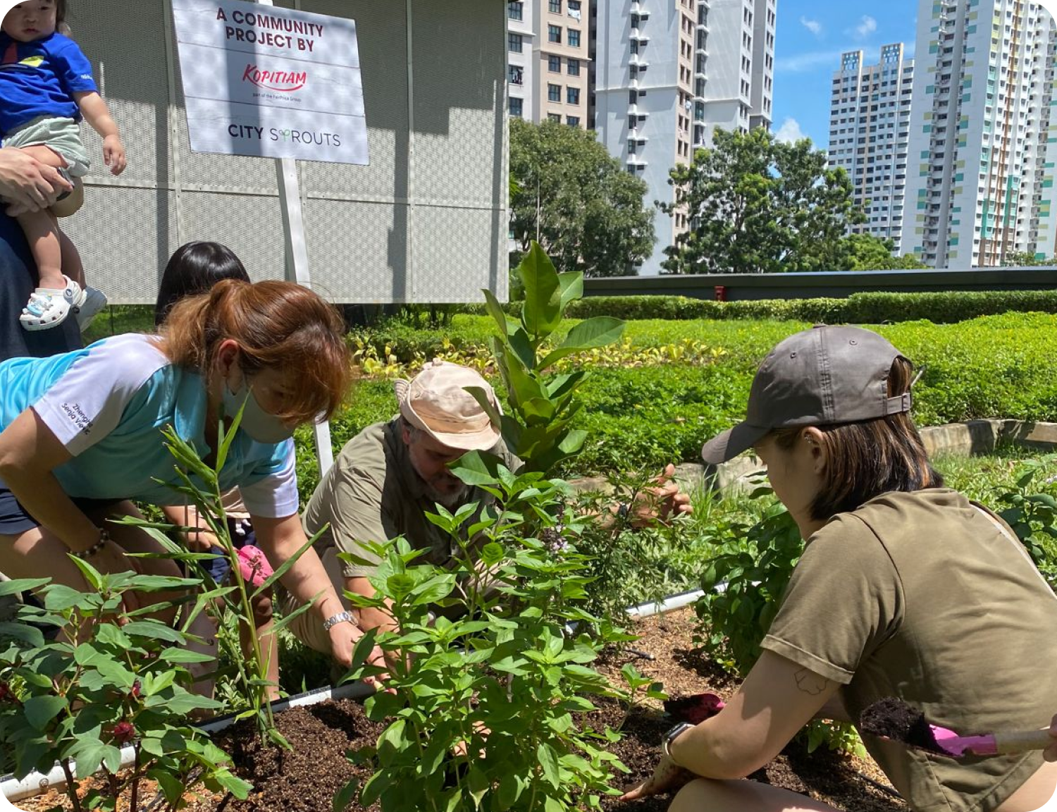 City Sprouts team building an educational garden for a school in Singapore