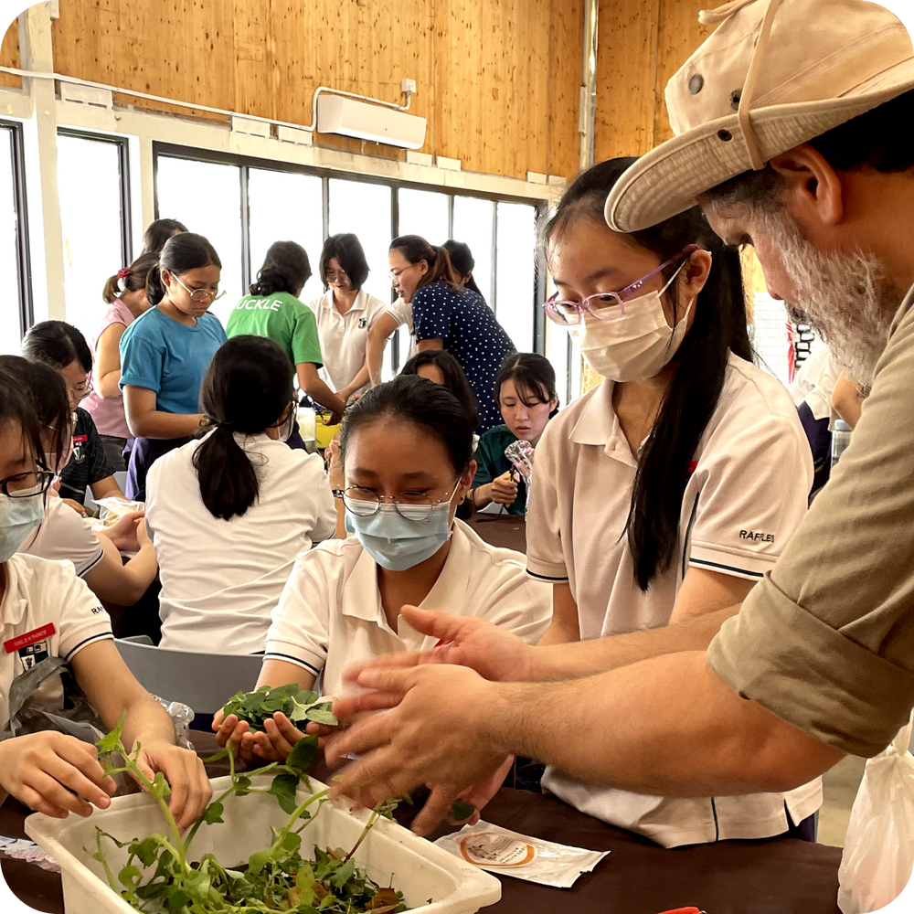 Students taking part in a hands-on school gardening programme in Singapore
