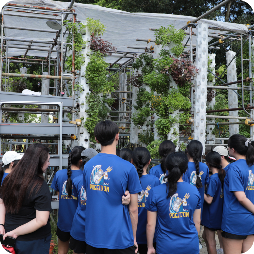 Students participating in a school learning journey and educational farm tour at City Sprouts