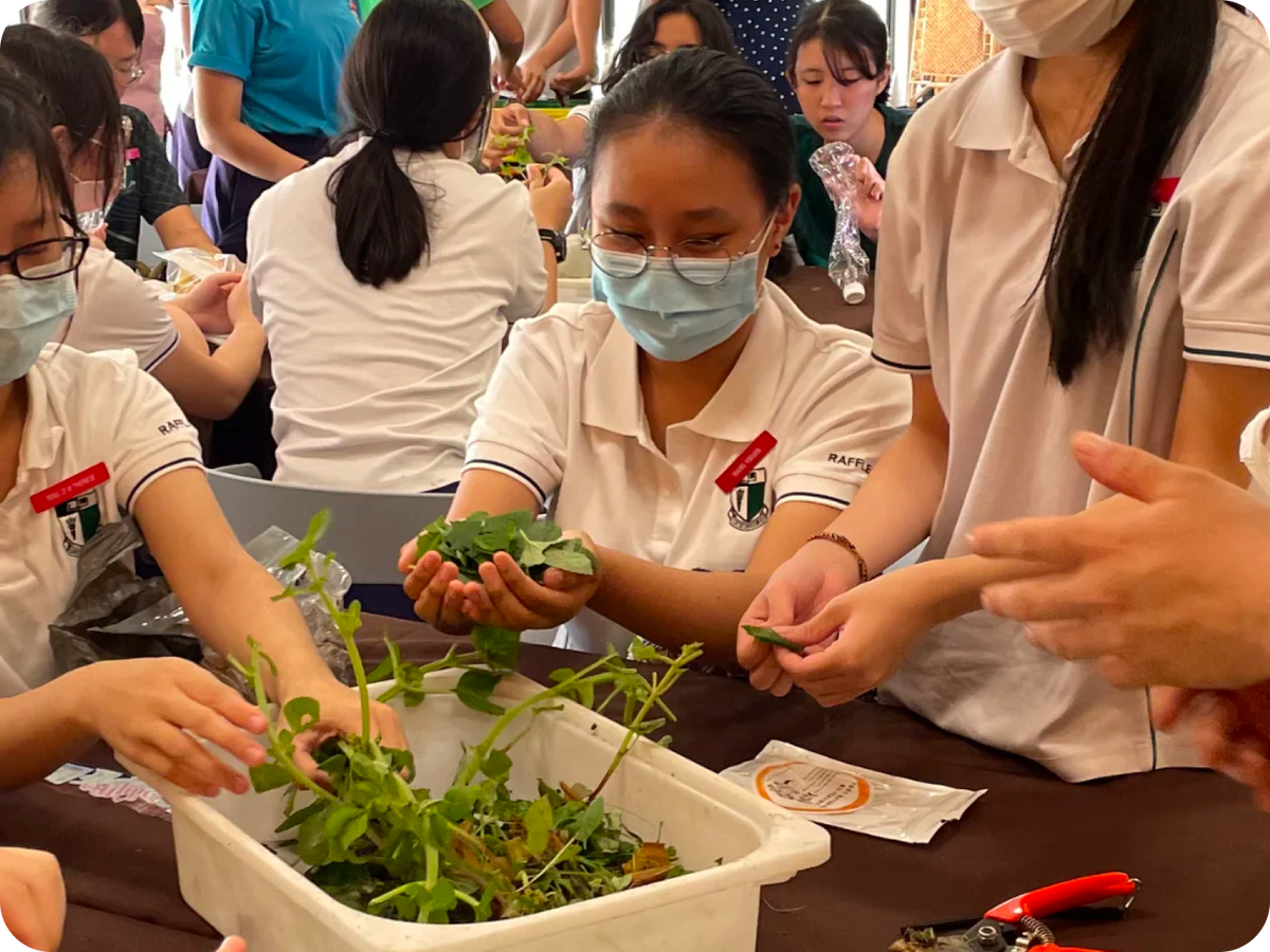 School students participating in a hands-on educational farm tour and sustainability workshop