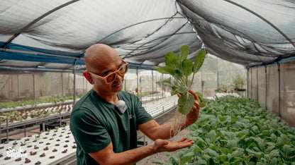 Farm-to-Table Laksa: Meet the Farmers Behind your Food
