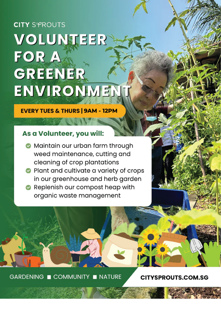 Photo inspiration: Volunteering At Urban Farms Reference: Free Volunteering Opportunity At Urban Farm In Singapore