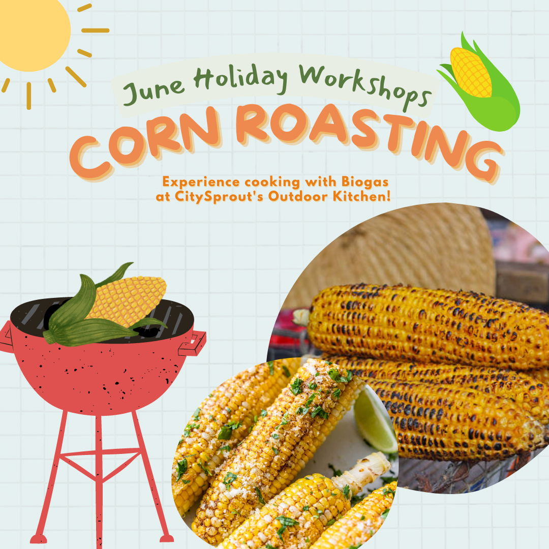 June Holiday 3-days Kids Camp