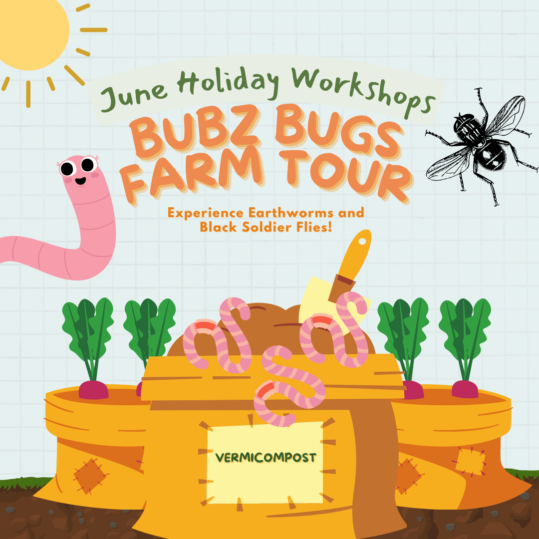 June Holiday 3-days Kids Camp