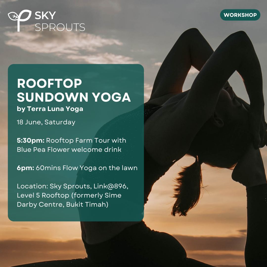 Rooftop Sundown Yoga