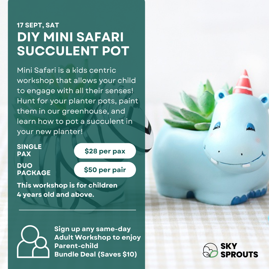 DIY Mini Safari Succulent Pot at Sky Sprouts Bukit Timah