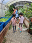Alternative Farming - An aquaponics & hydroponics workshop