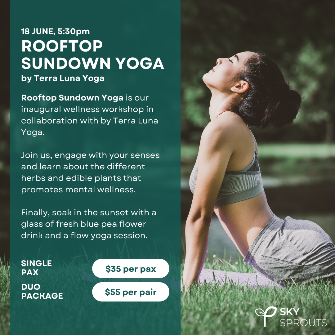 Rooftop Sundown Yoga