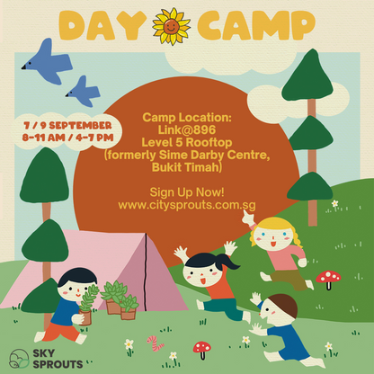 Sky Sprouts Kids' Day Camp