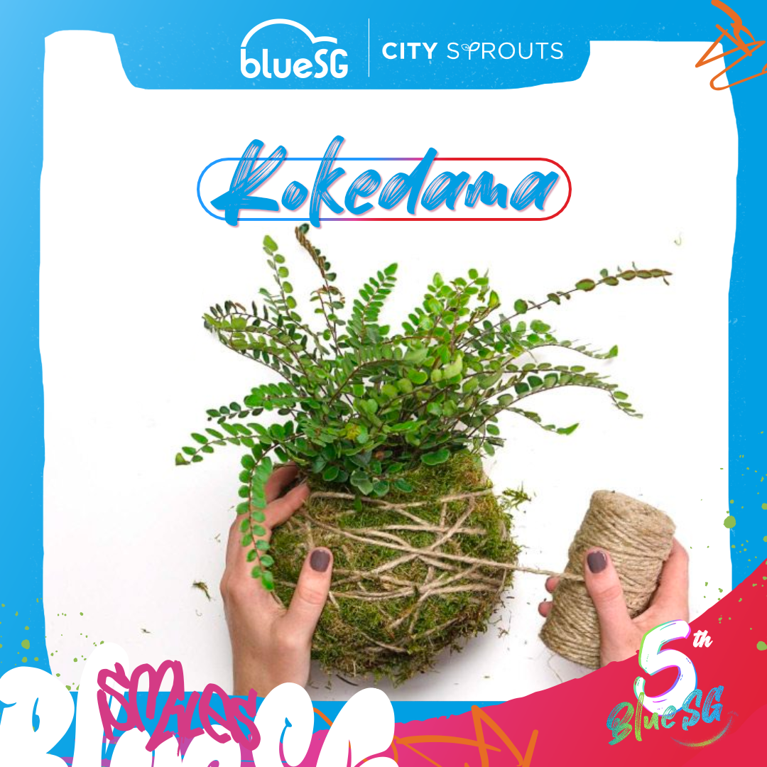 Kokedama Workshop