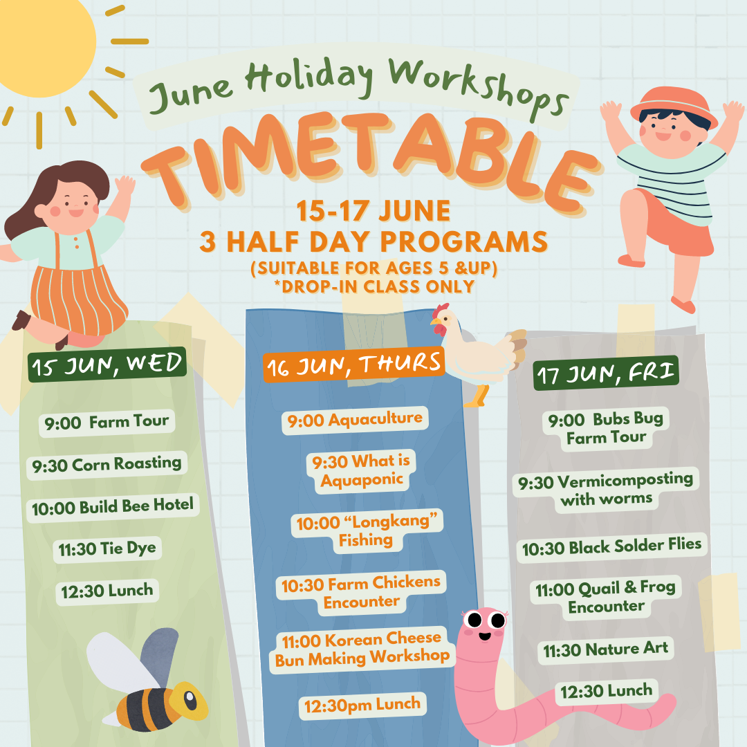 June Holiday 3-days Kids Camp