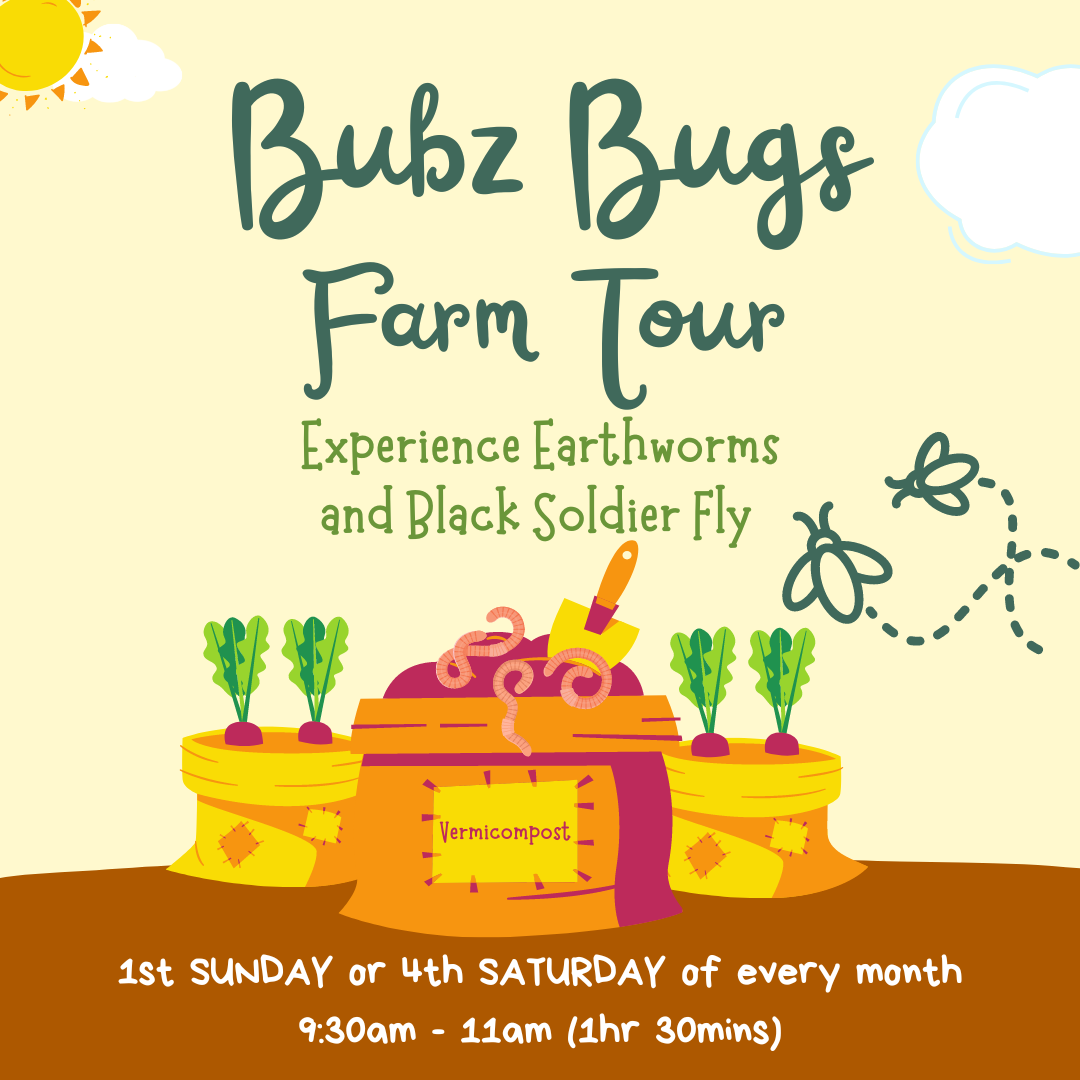 Bubz Bug Farm Tour for Kids in Singapore