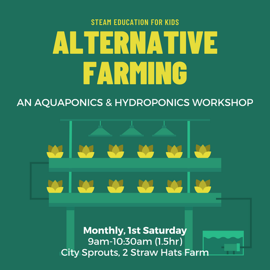 Aquaponic Farming Workshop for Kids