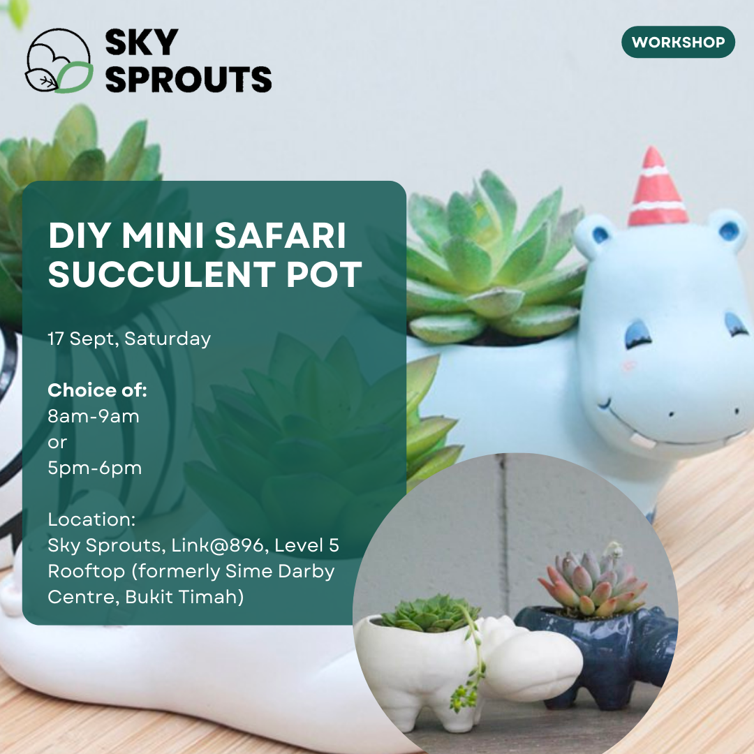 DIY Mini Safari Succulent Pot at Sky Sprouts Bukit Timah