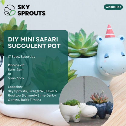 DIY Mini Safari Succulent Pot at Sky Sprouts Bukit Timah