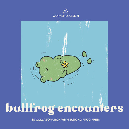 Bullfrog Encounters